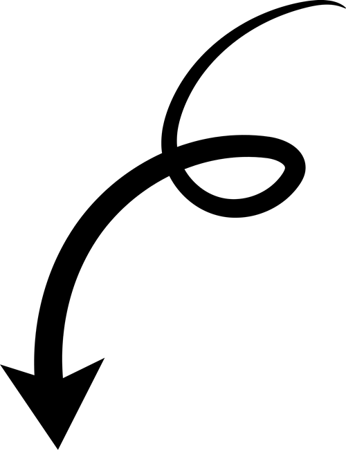 فلش